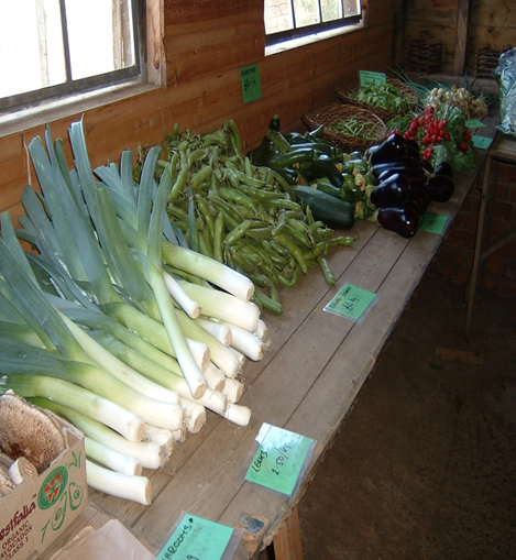 A range of vegetables laid out on a table at a farmers market